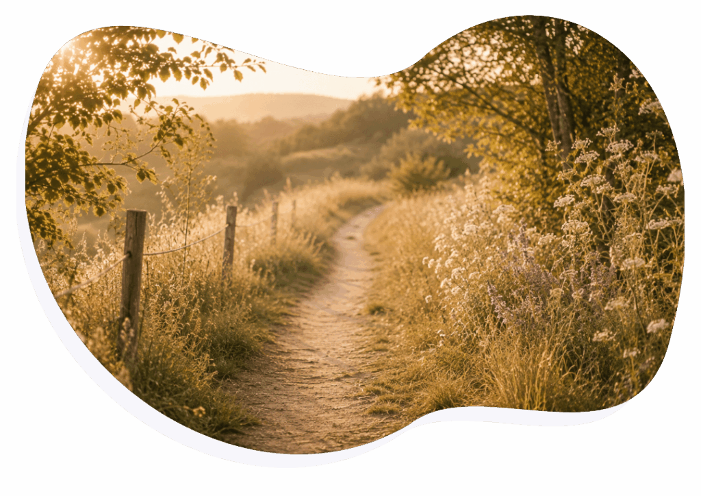 Naturweg durch eine sonnige Hügellandschaft.